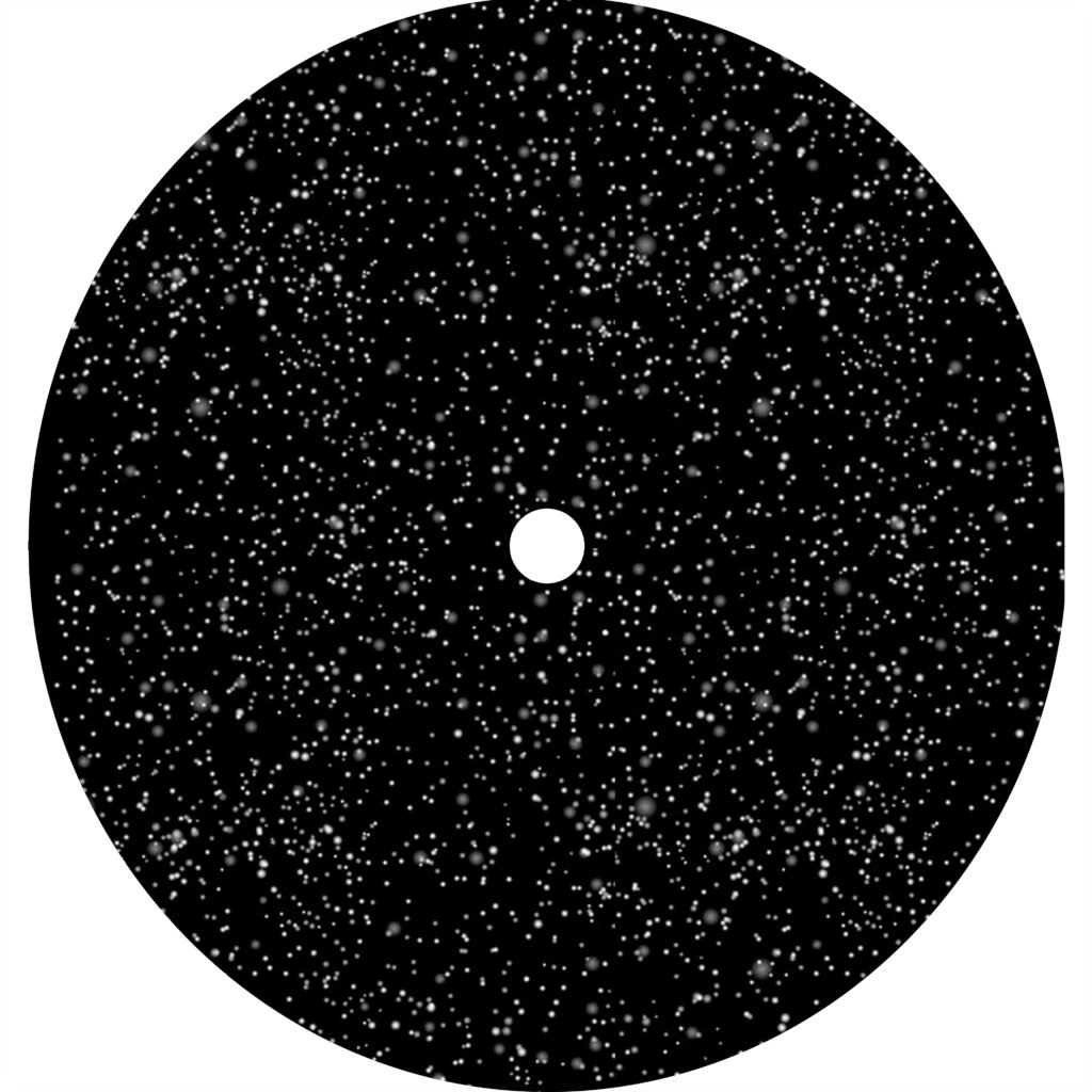 ruota neve